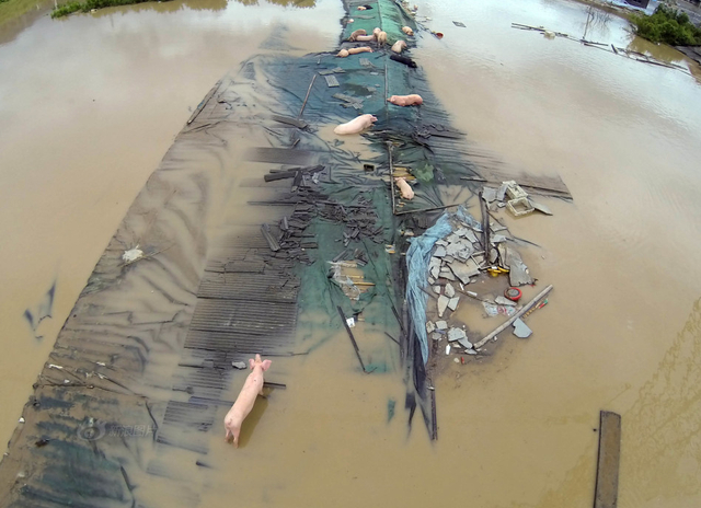 丽水遭遇暴雨突袭