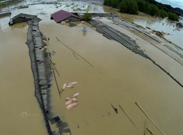 丽水遭遇暴雨突袭