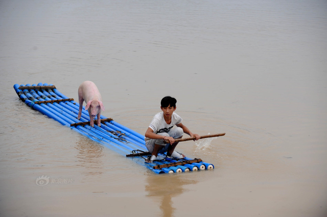 丽水遭遇暴雨突袭