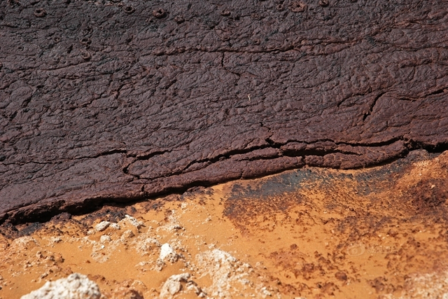 沙漠腹地成巨型排污池 周围恶臭难忍
