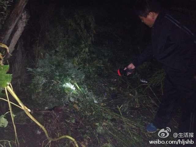 哈尔滨脱逃犯李海伟被抓