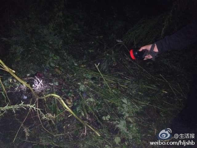 哈尔滨脱逃犯李海伟被抓