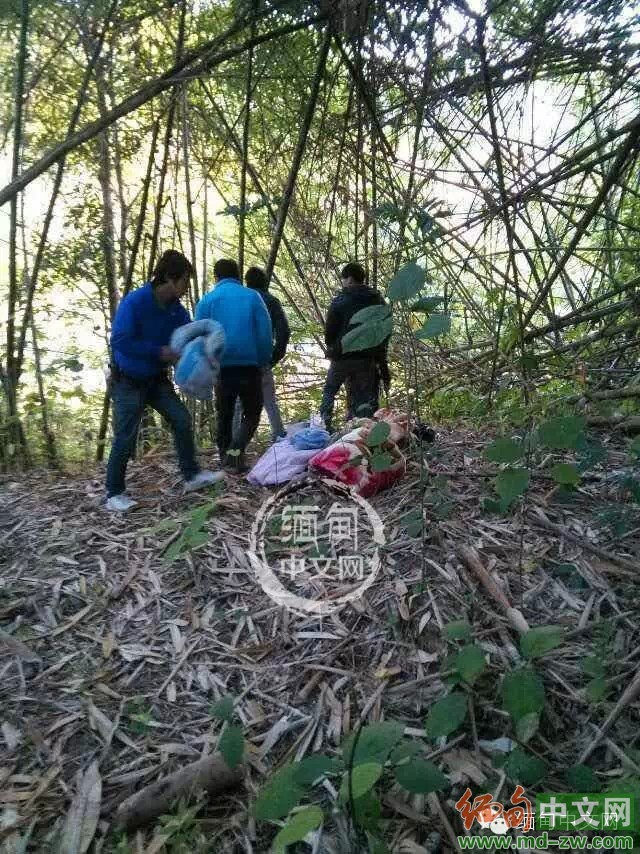 中国伐木工逃离缅北全程 赤脚蹚河躲追捕