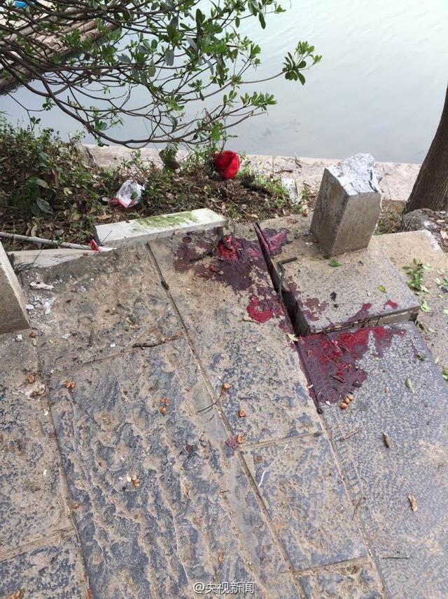 广西桂林一景区游客被滚石击中7人死亡