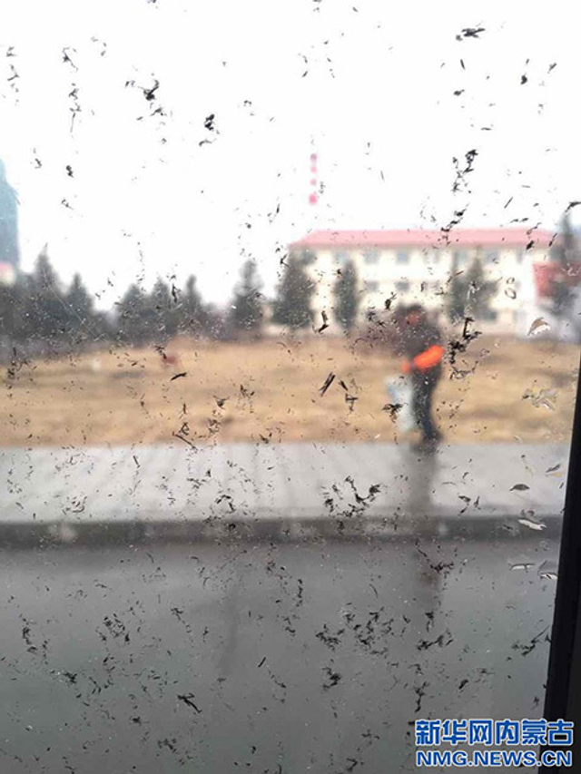 内蒙古阿尔山惊现红色天空下泥雨