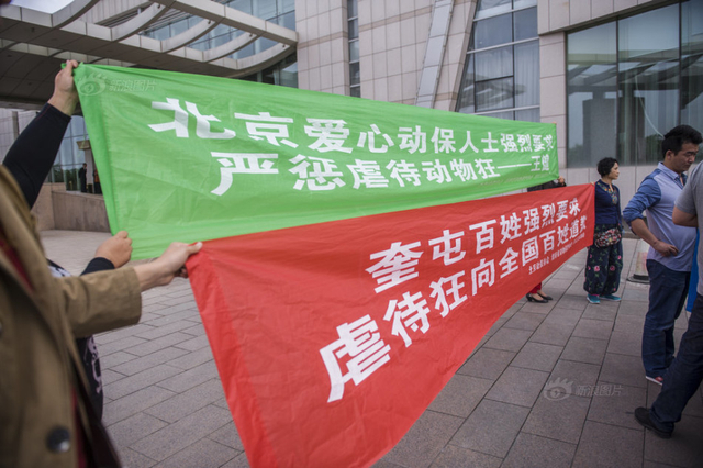 男子棒打小狗遭“人肉”  向爱狗人士道歉