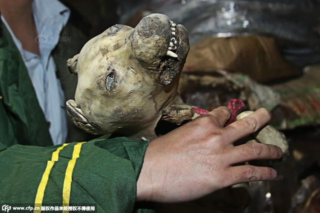 僵尸肉冷冻费每年仅17元 小餐馆成大客户