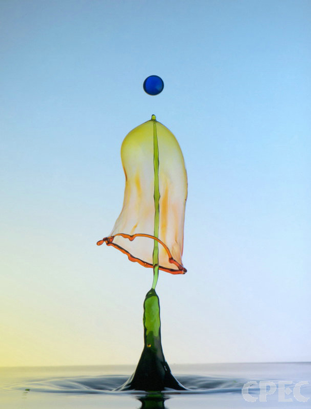 国展艺术类——入选2