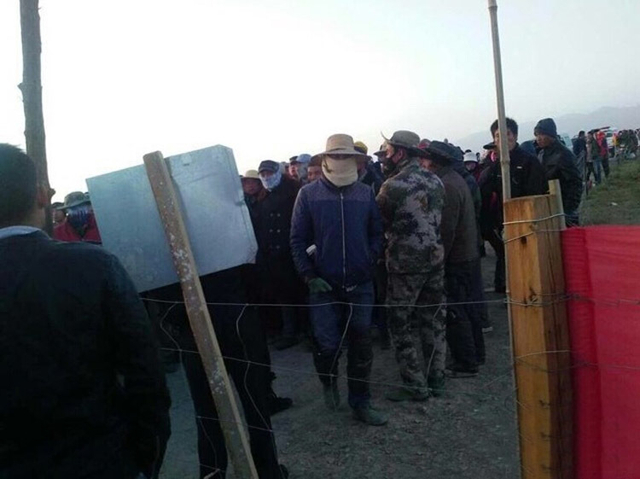 青海野生黑枸杞遭数千人盗采引发冲突