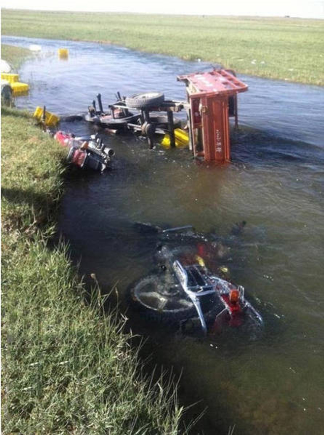 青海野生黑枸杞遭数千人盗采引发冲突