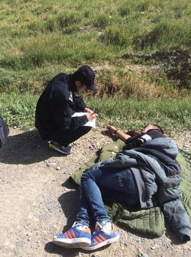 青海野生黑枸杞遭数千人盗采引发冲突