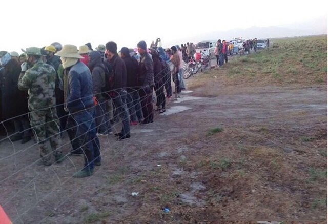 青海野生黑枸杞遭数千人盗采引发冲突