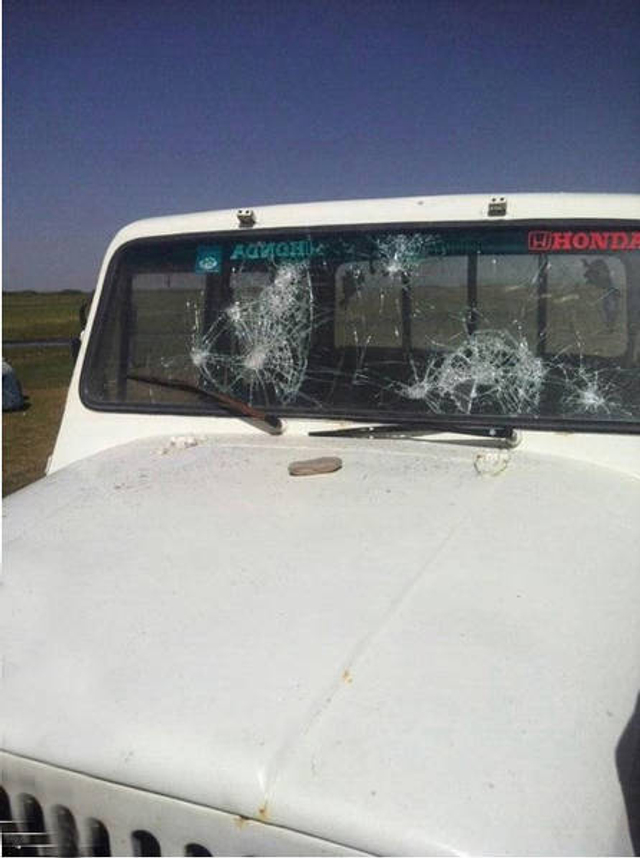 青海野生黑枸杞遭数千人盗采引发冲突