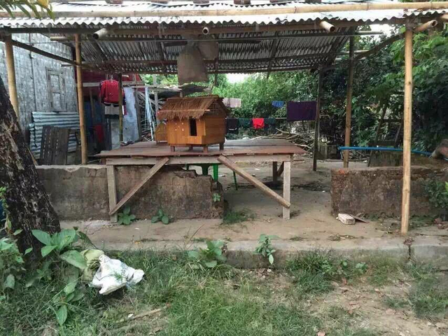 远征军遗骸归国受阻 老兵代表伤心落泪