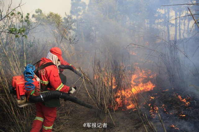 云南森林火灾烧到昆明 军队出动灭火