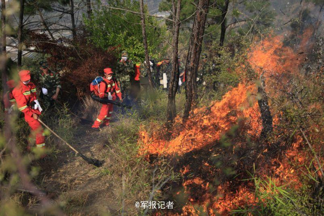 云南森林火灾烧到昆明 军队出动灭火