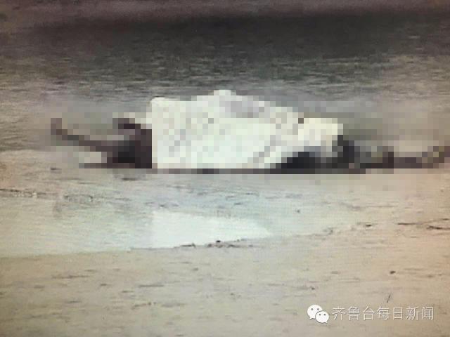 黄河搜救落水工人 意外发现一对男女浮尸