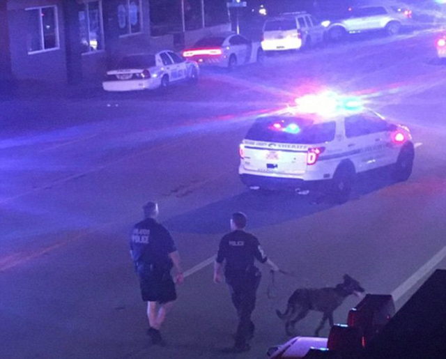 美国一夜店发生枪击案 50人死亡