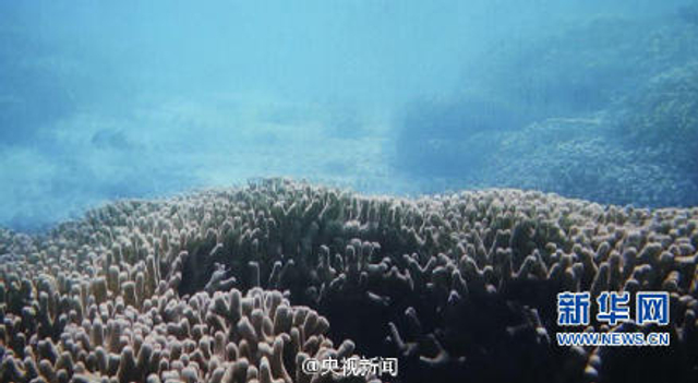 世界最深海洋蓝洞 获名“永乐龙洞”