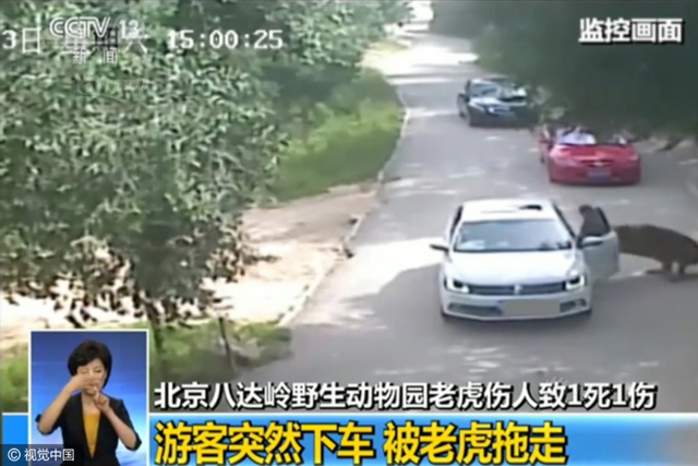 北京动物园老虎袭击游客 致一死一伤
