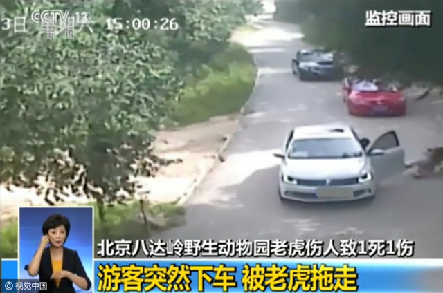 北京动物园老虎袭击游客 致一死一伤