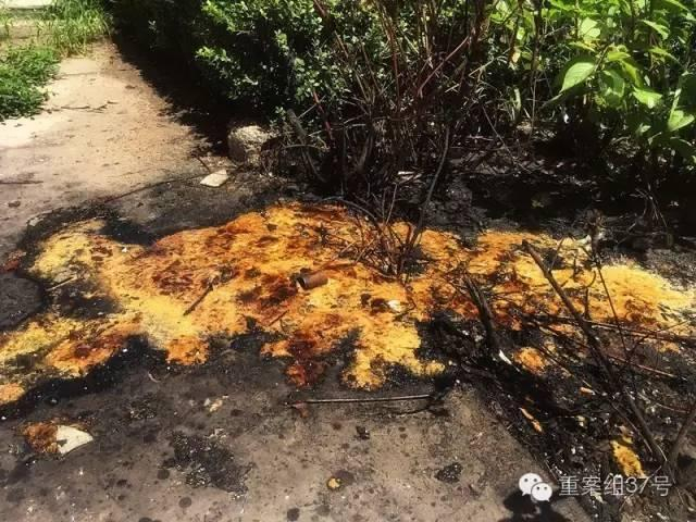 北京外卖村碗池洗拖把 垃圾桶上穿肉串