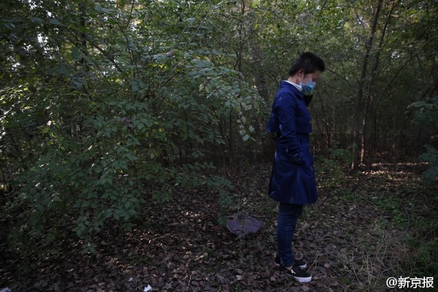 北京老虎袭人事件受伤女子首露面