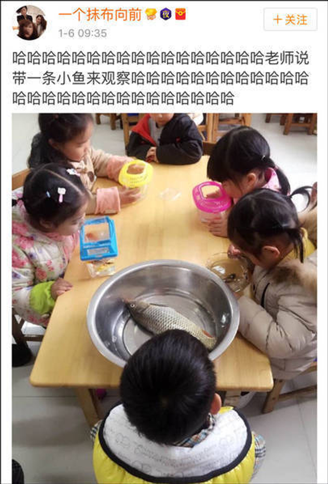 老师说带一条小鱼来观察