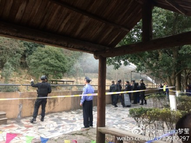 浙江一动物园老虎咬人 游客被拖入虎舍