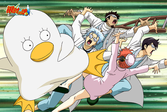 银时之魂 爆笑图集 新浪图片 银时之魂 爆笑图集 新浪图片