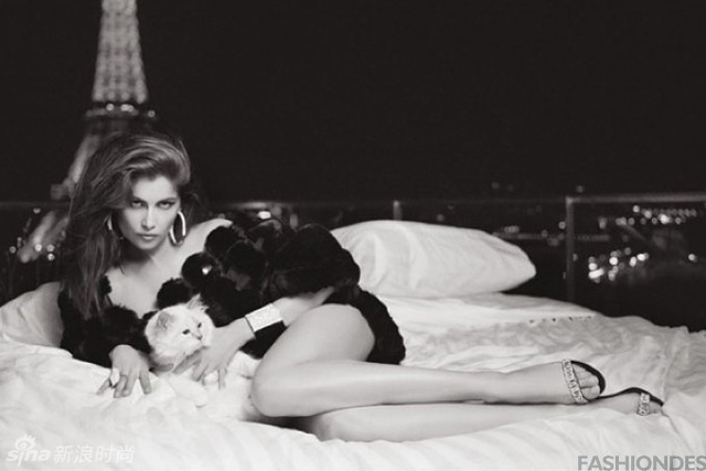 老佛爷爱猫出镜时尚大片 Choupette性感不输超模