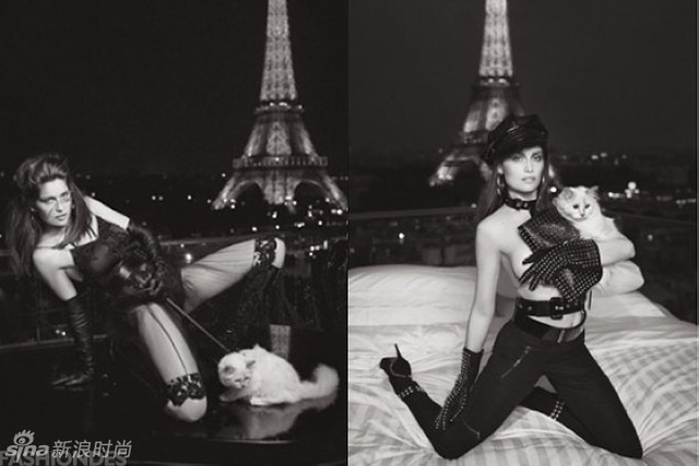 老佛爷爱猫出镜时尚大片 Choupette性感不输超模