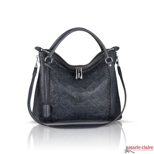 奢侈品入门级 值得入手的20款LV手袋