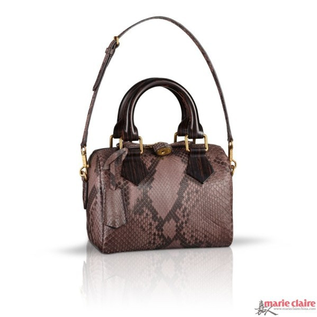 奢侈品入门级 值得入手的20款LV手袋