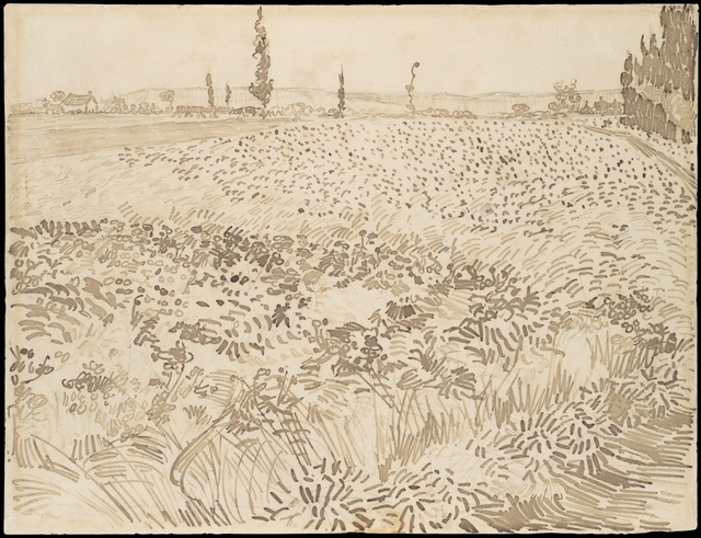 Wheat Field