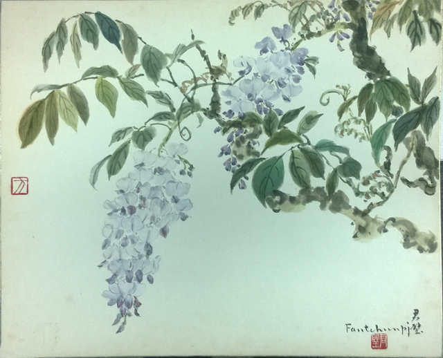 紫藤花 纸本设色 36.5x44cm