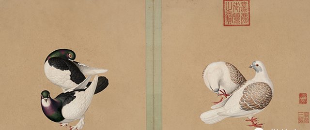 清 佚名 鸽谱图册