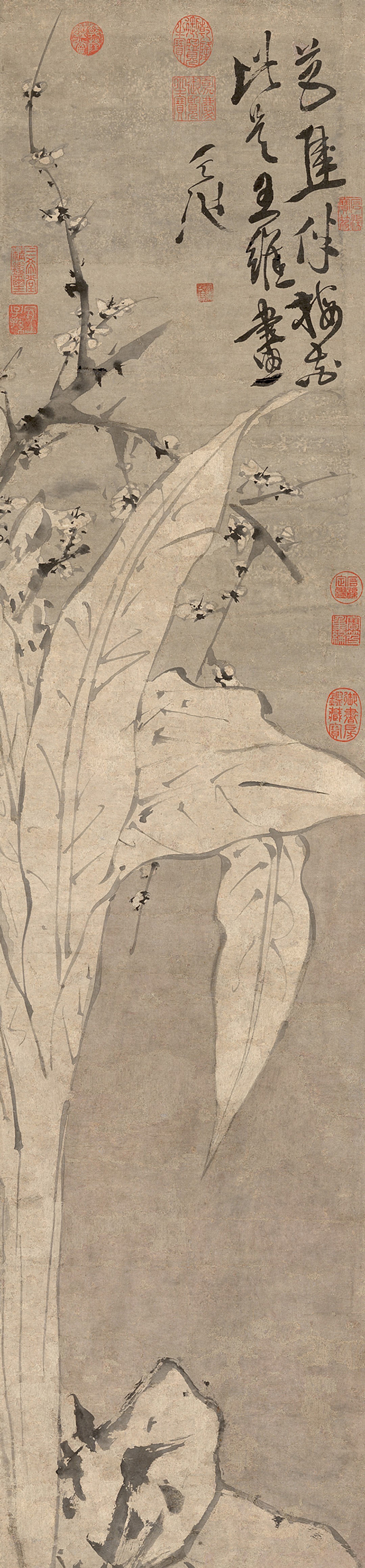 明 徐渭 梅花蕉叶图轴