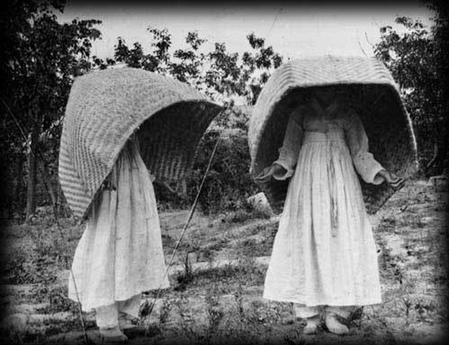 古代朝鲜女子服饰