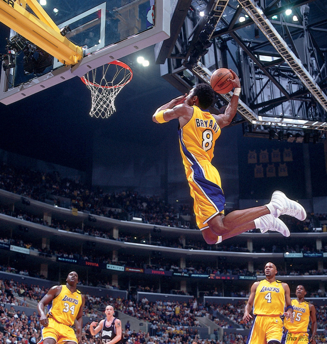 新浪体育精选科比-布莱恩特加入nba以来一百张扣篮高清大图,敬请欣赏