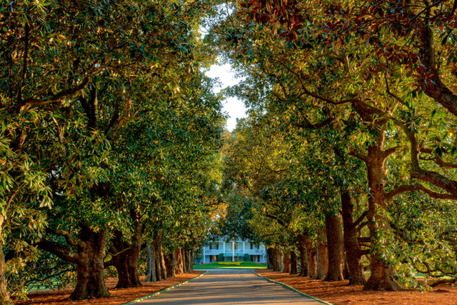 走在木兰道上聆听关于奥古斯塔的故事