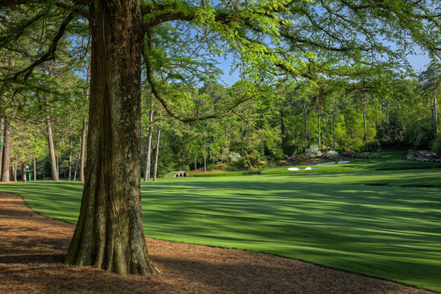草皮绿荫如美肌胴体