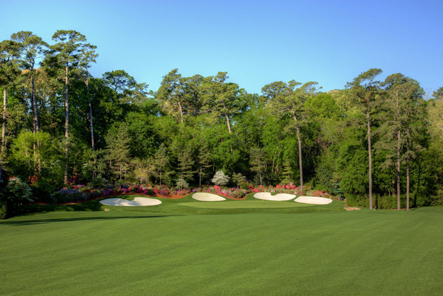 花团锦簇绿树相拥，果岭上的你不再孤单