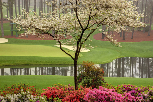 美景如画叹为观止