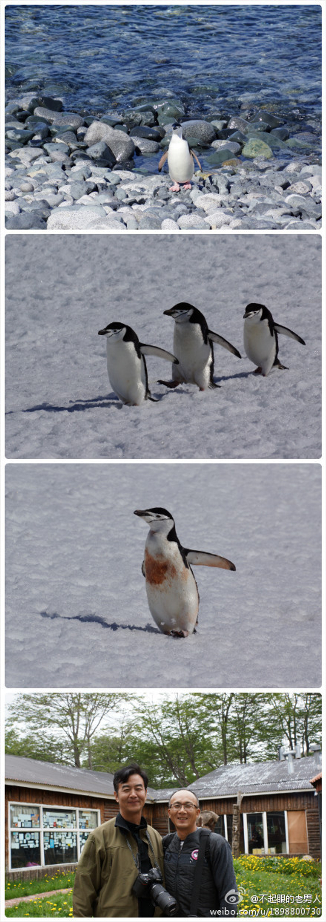 企鹅、李栓科和俺