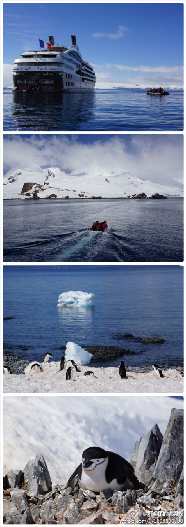 游轮、登岛、企鹅与浮冰