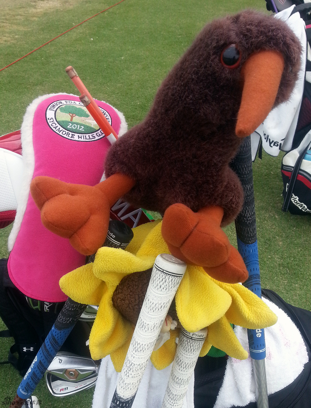 老鹰脚踩向日葵