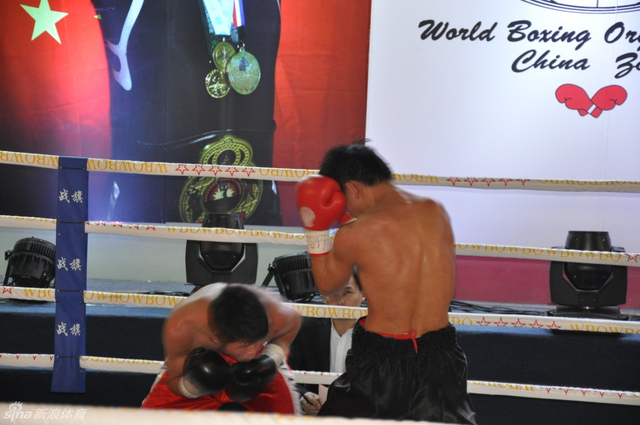 张君龙重拳席卷国内拳坛