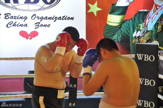 WBO职业拳王资格赛赛况