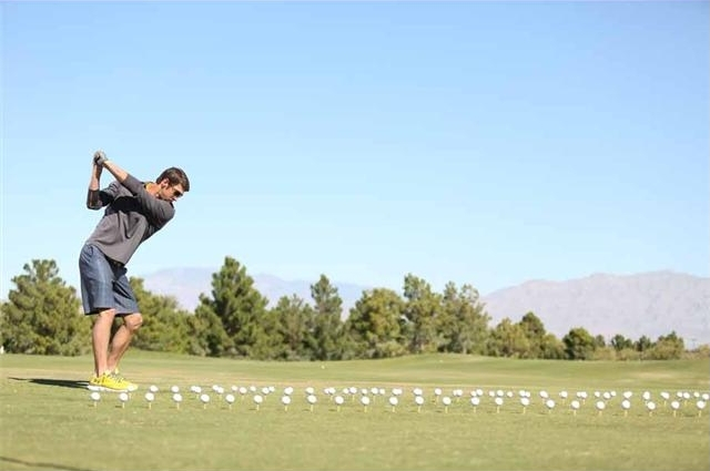 菲尔普斯师从哈尼